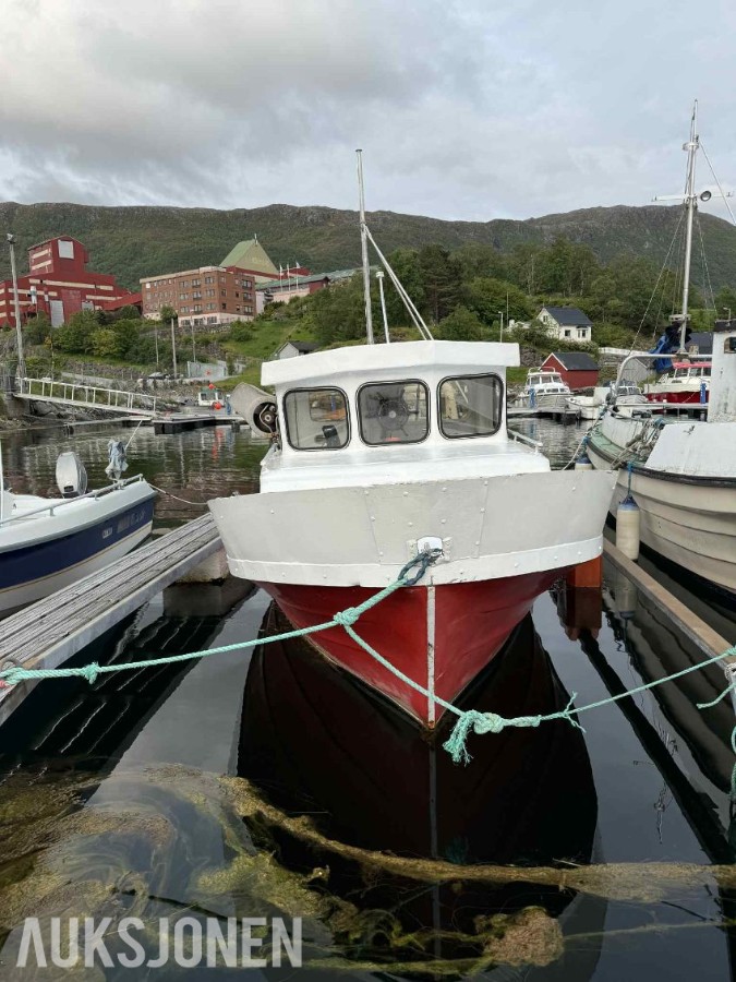 20 fot sjark med Saab motor