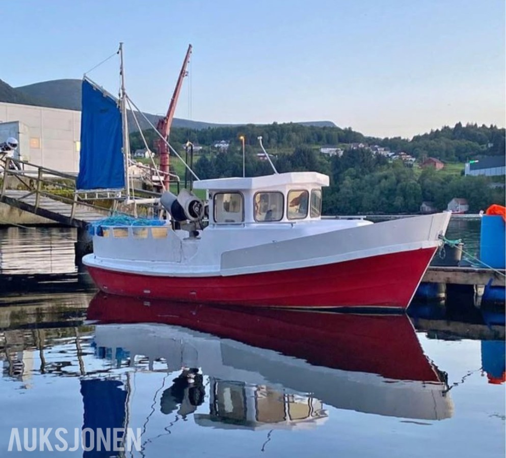20 fot sjark med Saab motor