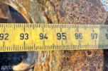 SMP Knusespett med SMP 105-feste – ca 2,1 meter