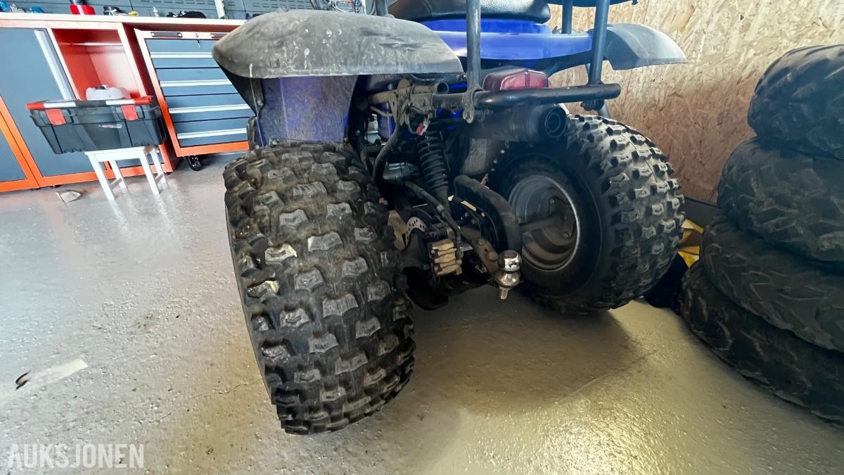 2005 E-ton Challenger CXL150 ATV