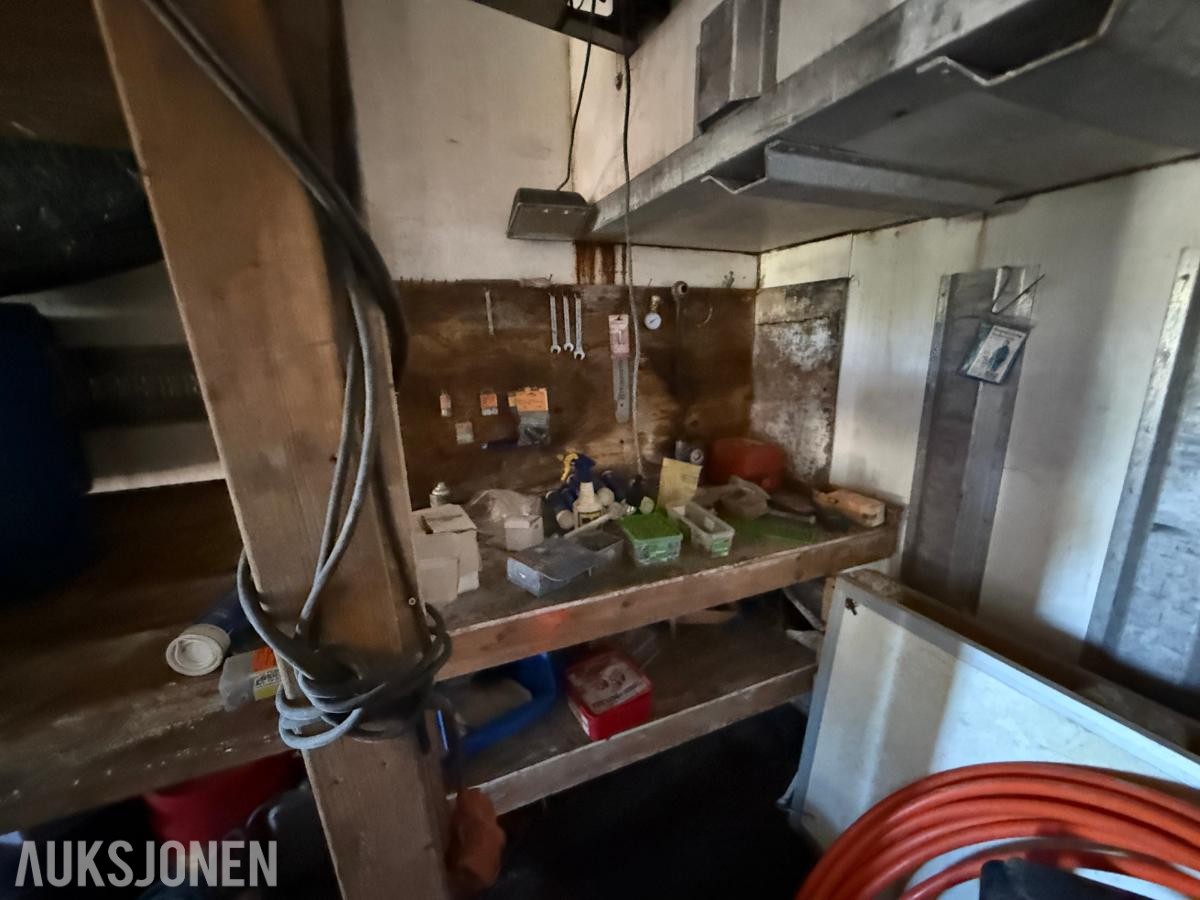 20 Fots frysecontainer med innhold