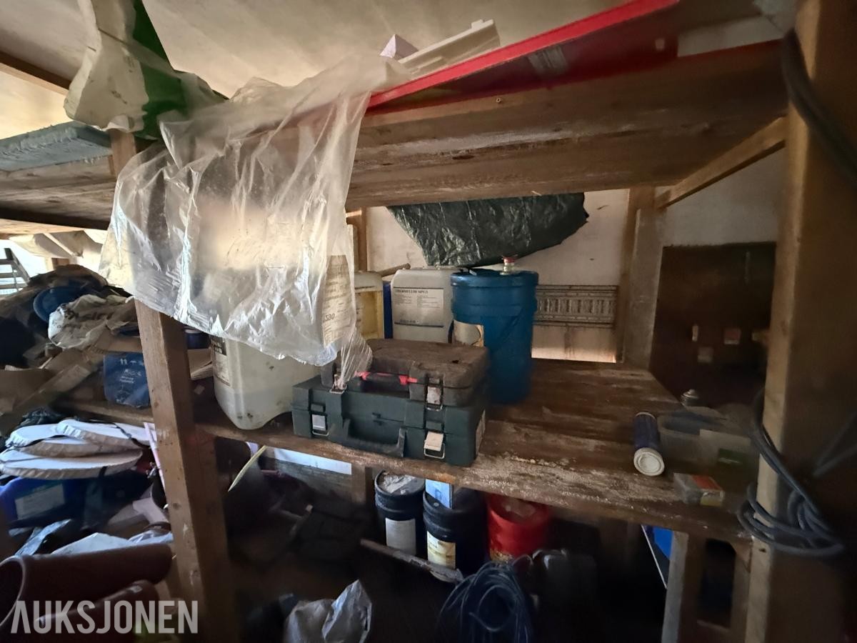 20 Fots frysecontainer med innhold