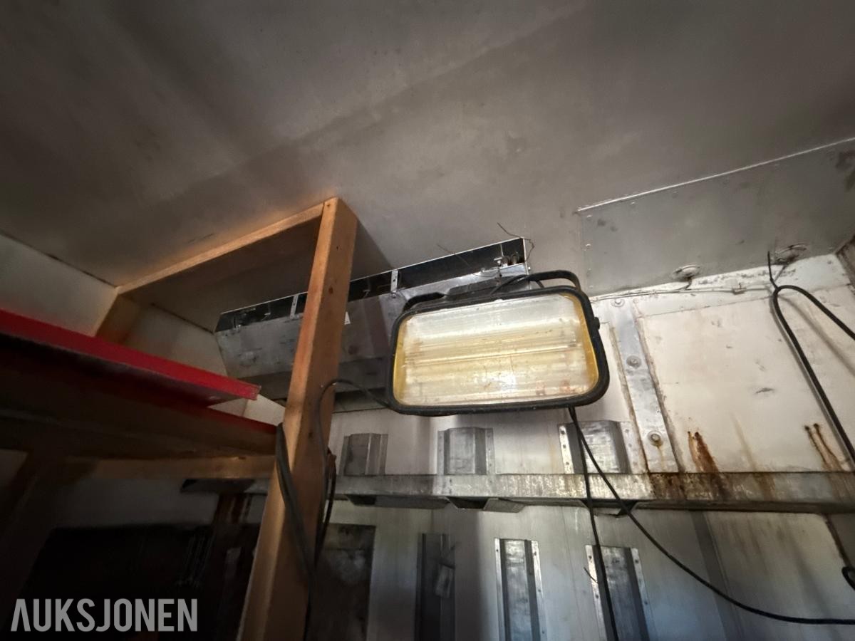 20 Fots frysecontainer med innhold
