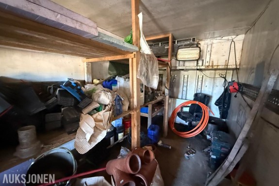 20 Fots frysecontainer med innhold