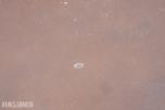 2 stk. Vega ståbord og 6 stk. barstoler