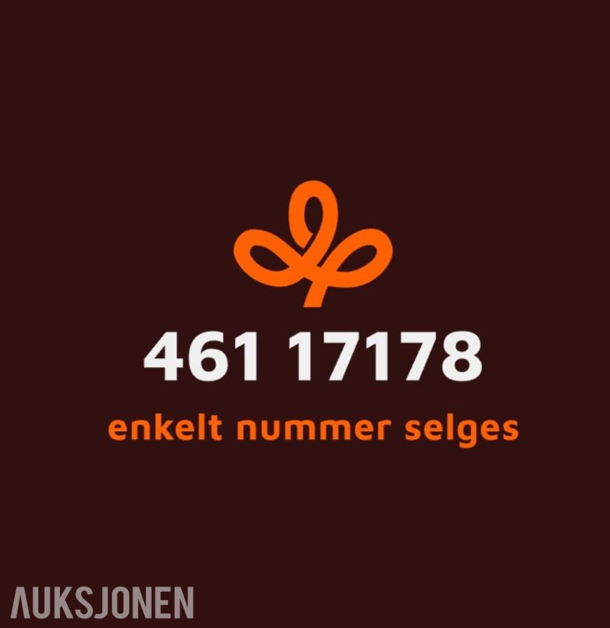 Enkelt nr: 461 17178 