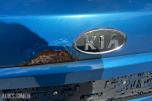 2011 Kia Ceed 1.6-116 D
