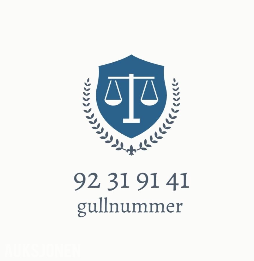 Gullnummer: 92 31 91 41