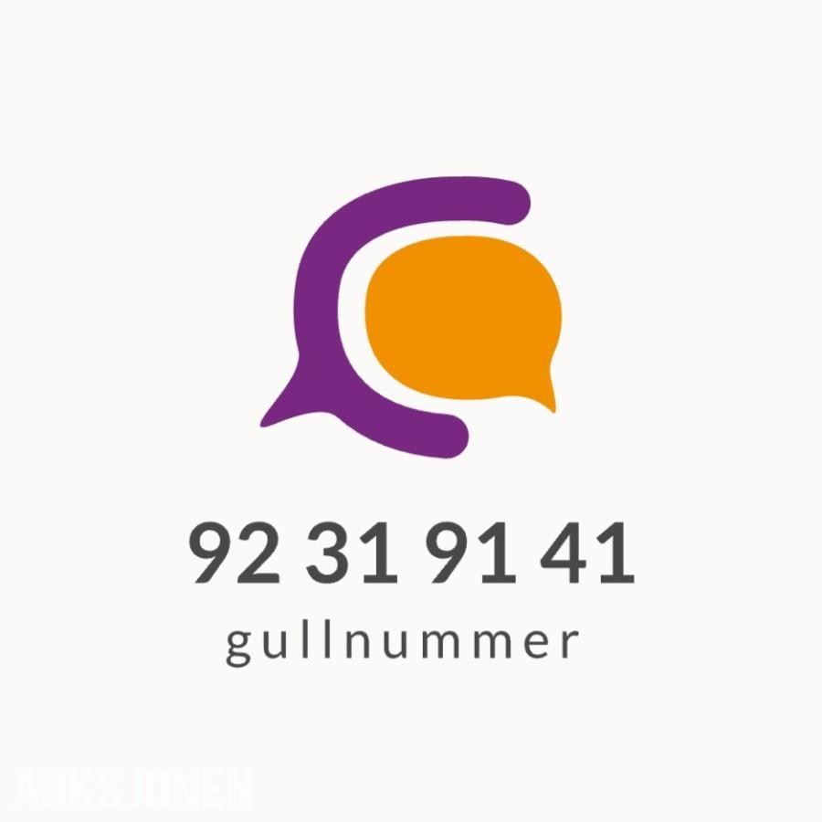 Gullnummer: 92 31 91 41
