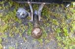2013 Toyota, LAND CRUISER 3.0-190 D 4WD, 203500km 5 Seter
