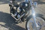 2001 Harley-Davidson FXDL Dyna Low Rider