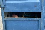 15 fot stålcontainer - Sagstasjon - Gjerdesag