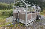 2009 Dyrevogn / transporthenger for dyr
