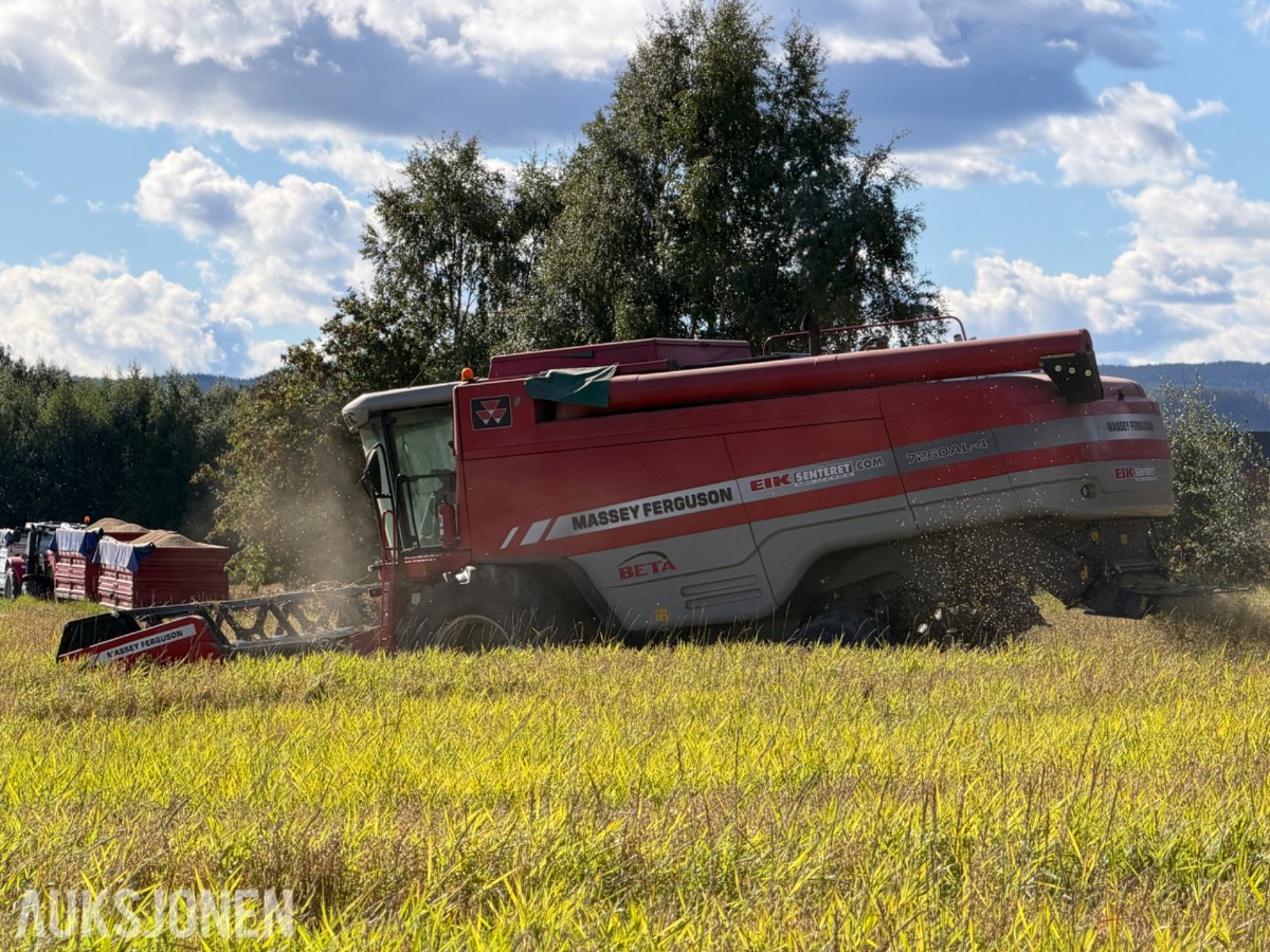 2007 mod. Massey Ferguson Beta 7260 AL-4. Kan leveres omgående