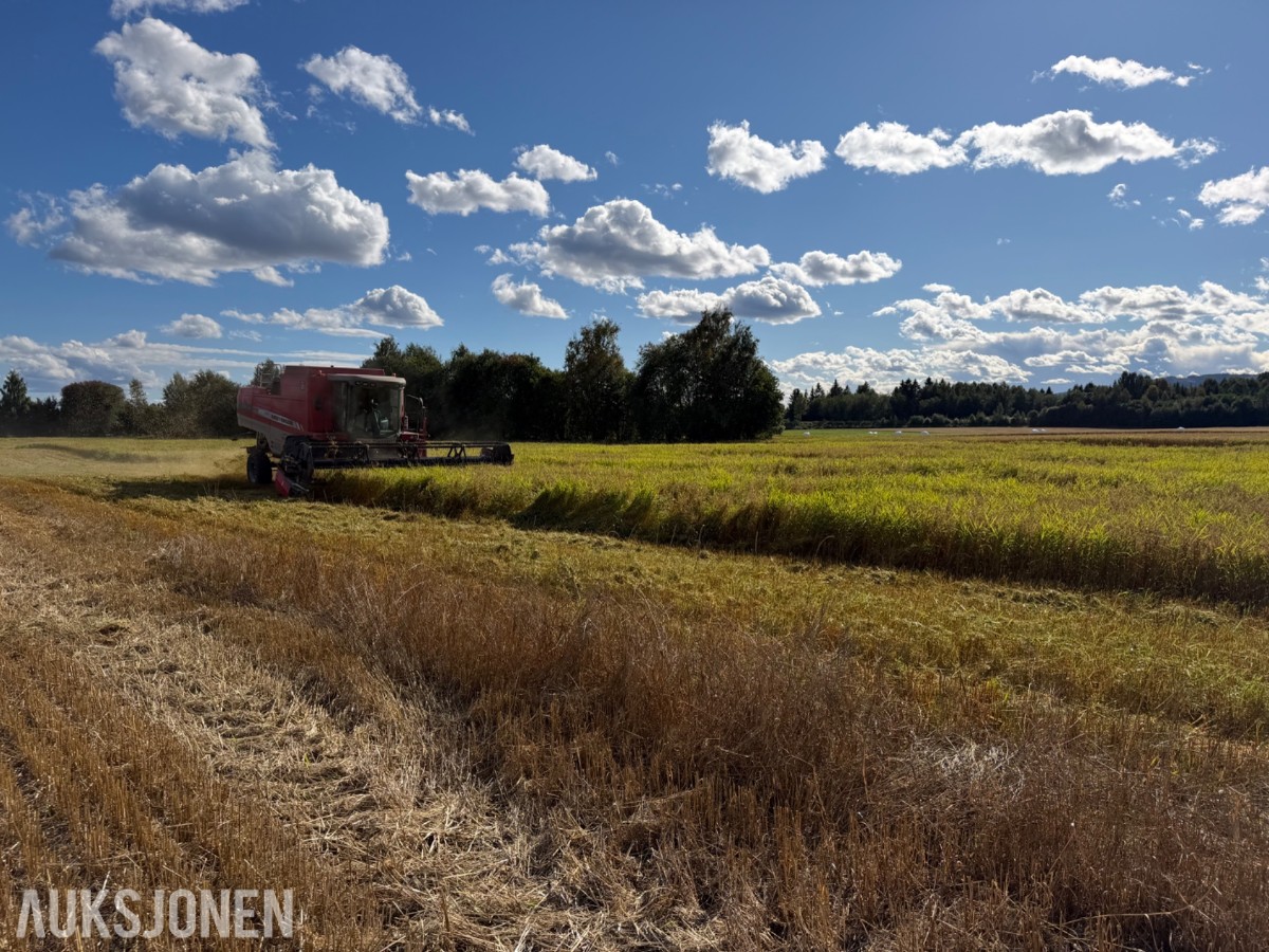 2007 mod. Massey Ferguson Beta 7260 AL-4. Kan leveres omgående