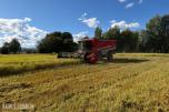 2007 mod. Massey Ferguson Beta 7260 AL-4. Kan leveres omgående