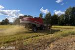 2007 mod. Massey Ferguson Beta 7260 AL-4. Kan leveres omgående