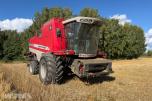 2007 mod. Massey Ferguson Beta 7260 AL-4. Kan leveres omgående