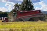 2007 mod. Massey Ferguson Beta 7260 AL-4. Kan leveres omgående