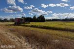2007 mod. Massey Ferguson Beta 7260 AL-4. Kan leveres omgående
