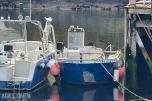 Nebben TR-8-FL aluminiumsbåt med Suzuki 150 hk og leppefiskrettighet