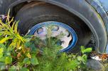 1959 Ford Trader 55 6 seter buss