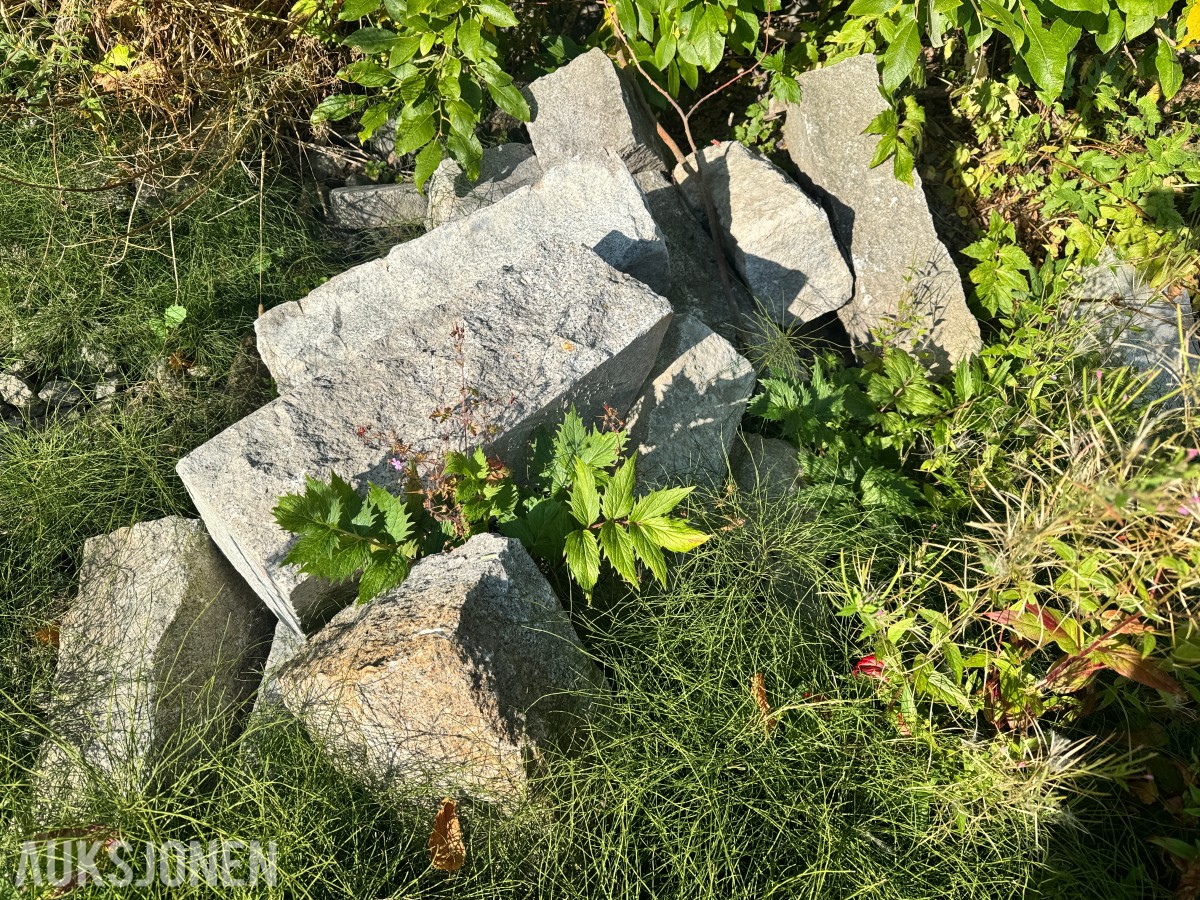 Parti Kantstein - ca. 50 Stk