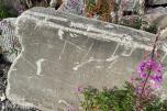 Betong sperrelementer (New Jersey-elementer) - 12 stk
