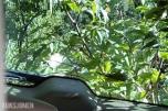 2008 Toyota Land Cruiser 200 Facelift 4.5 V8 TD 265HK 4WD Automat, Ryggekamera