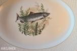 1900 Burleigh Ware fiskeservise i Ironstone Ironstone