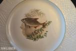 1900 Burleigh Ware fiskeservise i Ironstone Ironstone