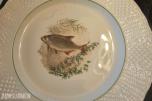 1900 Burleigh Ware fiskeservise i Ironstone Ironstone