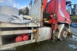 Iveco med Palfinger  pk 13000 kran - delebil