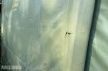 O.B WIIK lagerhall B5,3m X L9.0m X H3.0m