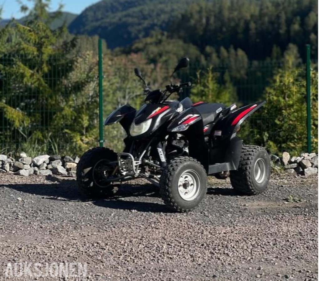 2010 Access 250R ATV