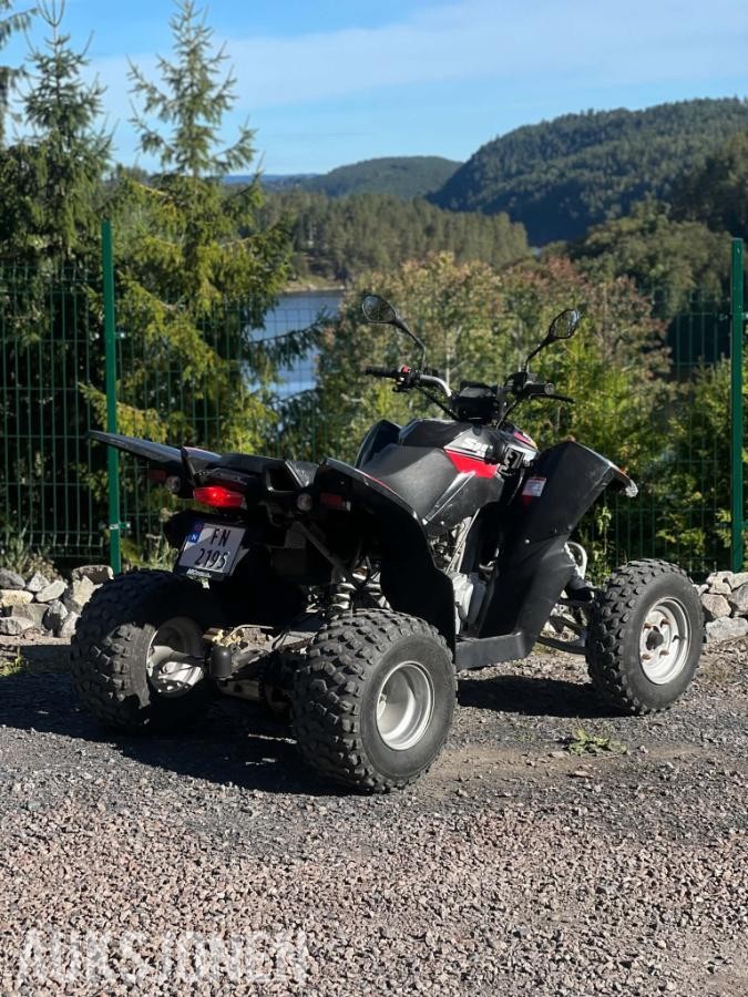 2010 Access 250R ATV