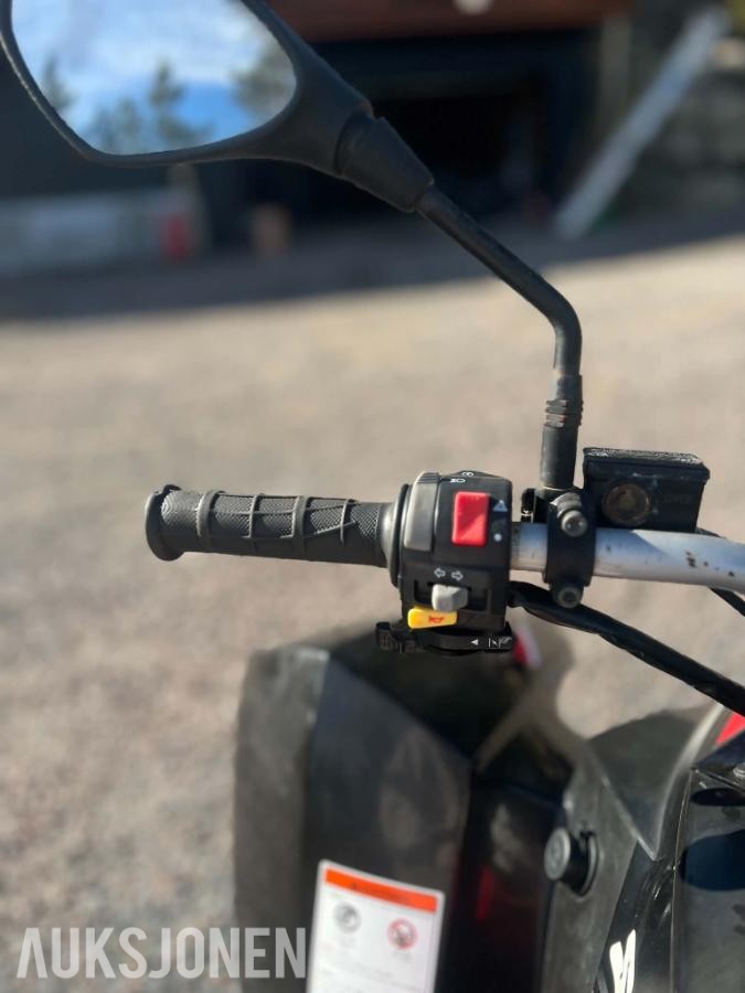 2010 Access 250R ATV