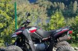2010 Access 250R ATV