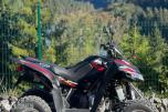 2010 Access 250R ATV