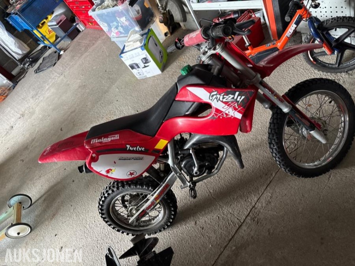 Grizzly 50cc crosser
