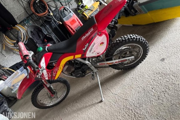 Grizzly 50cc crosser