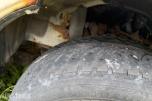 2006 Toyota HiAce, HIACE 2.5-102 D 4WD