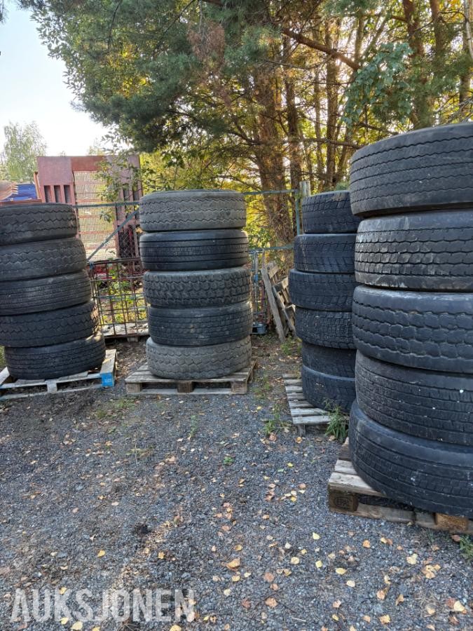 Dekk 385.65.22,5 / 315.80.22,5