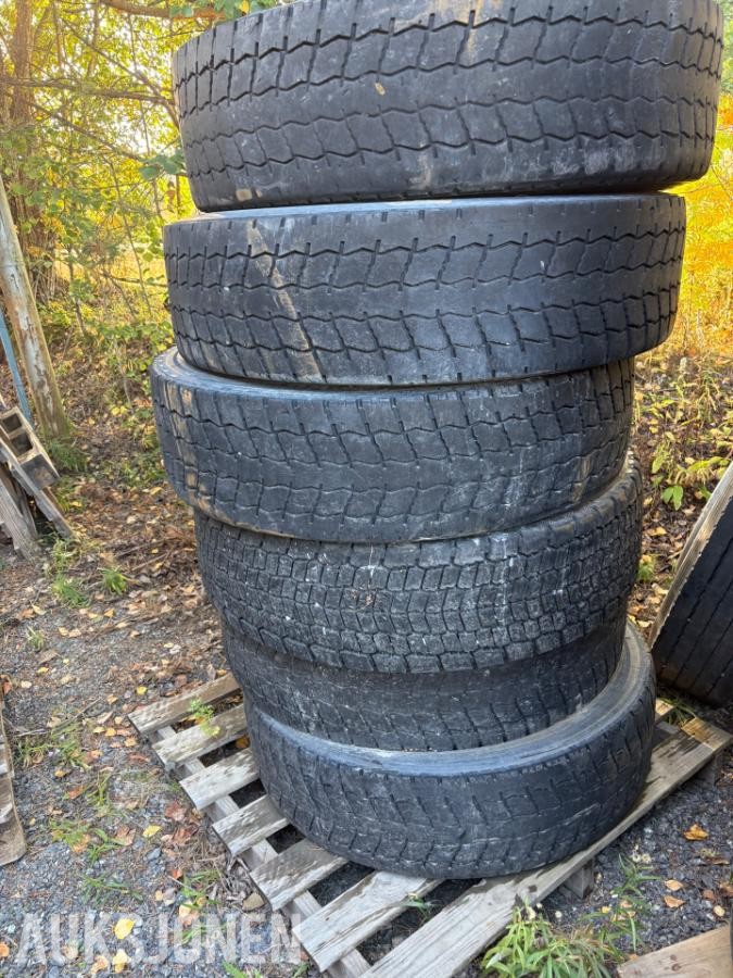 Dekk 385.65.22,5 / 315.80.22,5