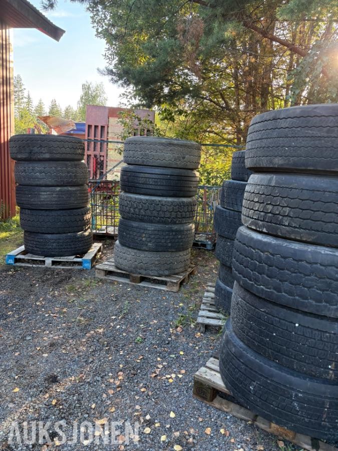 Dekk 385.65.22,5 / 315.80.22,5