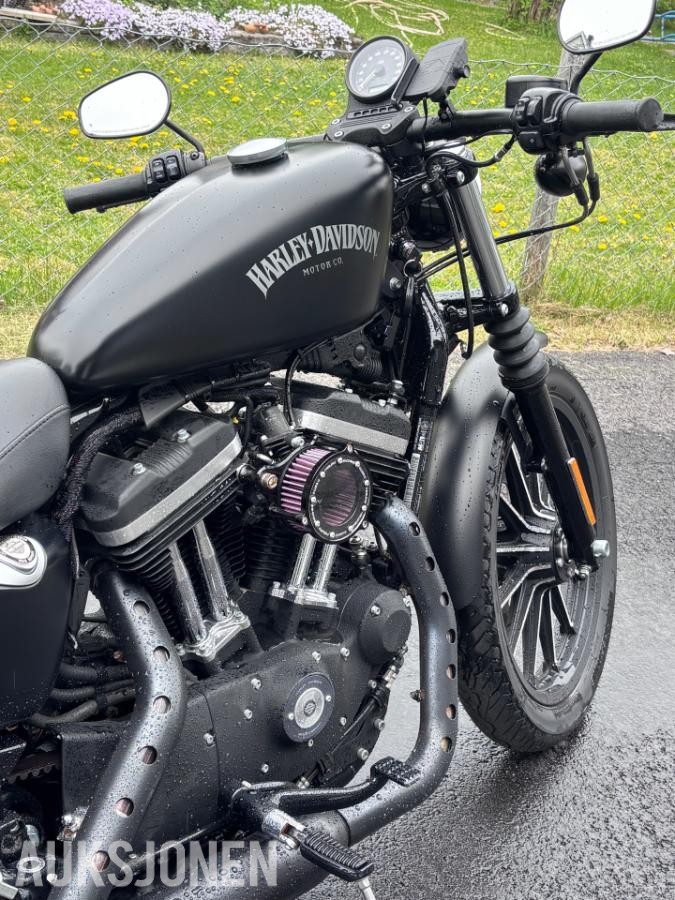 2015 Harley-Davidson XL 883N Iron