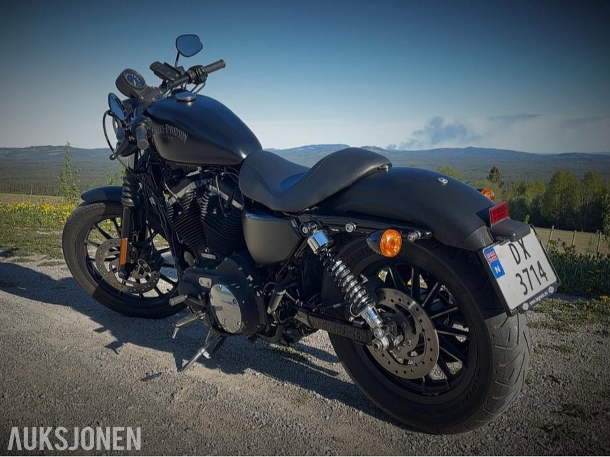 2015 Harley-Davidson XL 883N Iron