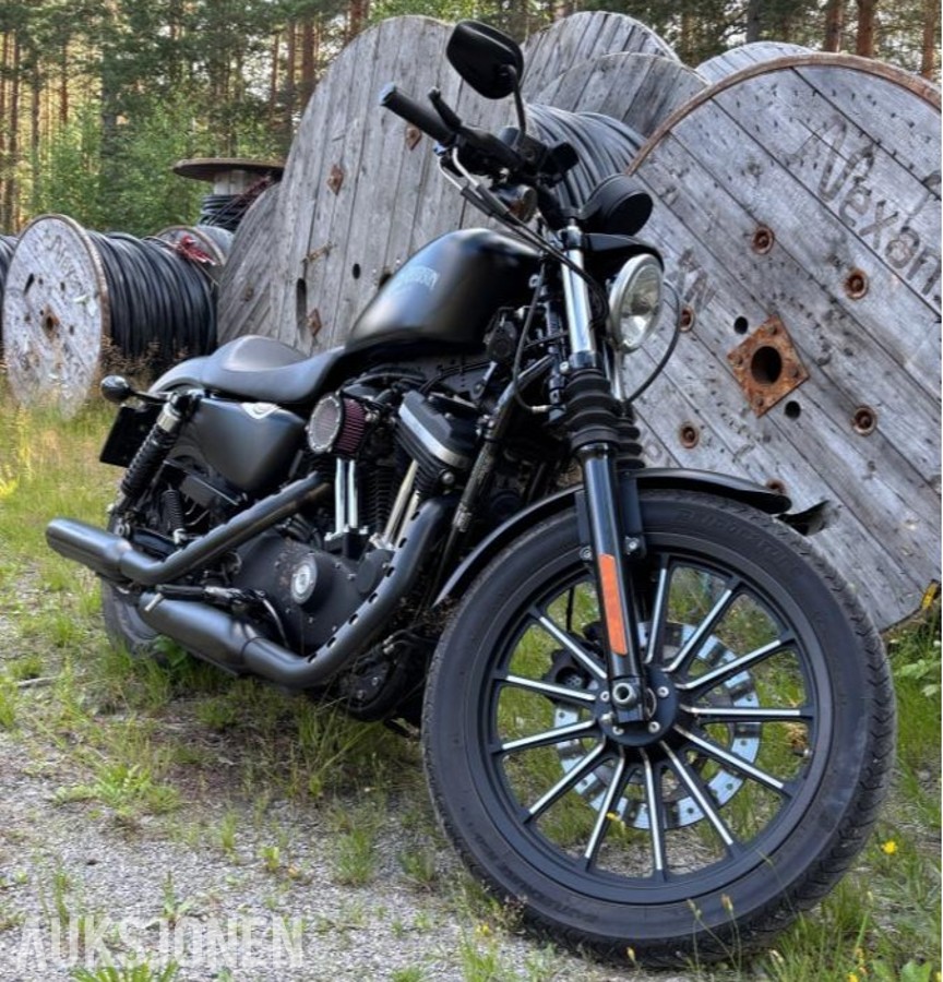 2015 Harley-Davidson XL 883N Iron
