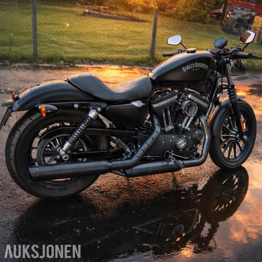 2015 MC - Harley-Davidson XL 883N Iron