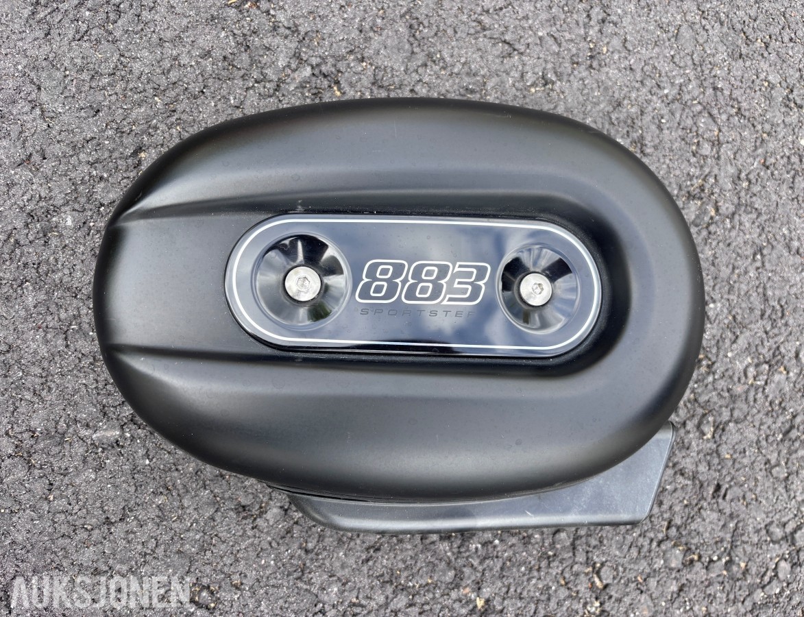 2015 MC - Harley-Davidson XL 883N Iron